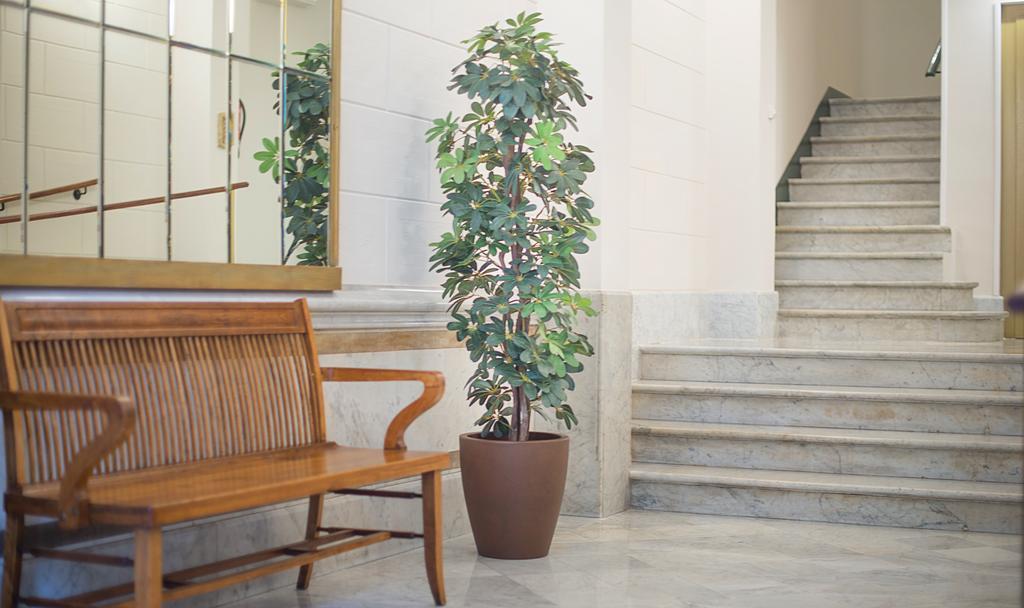 Anakena House Bed & Breakfast Barcelona Exterior photo